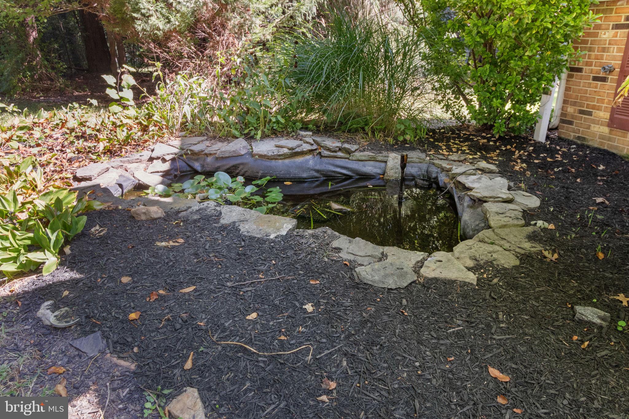 6035 Towles Mill Road Partlow, VA 22534 - Photo 45 of 66 Koi pond