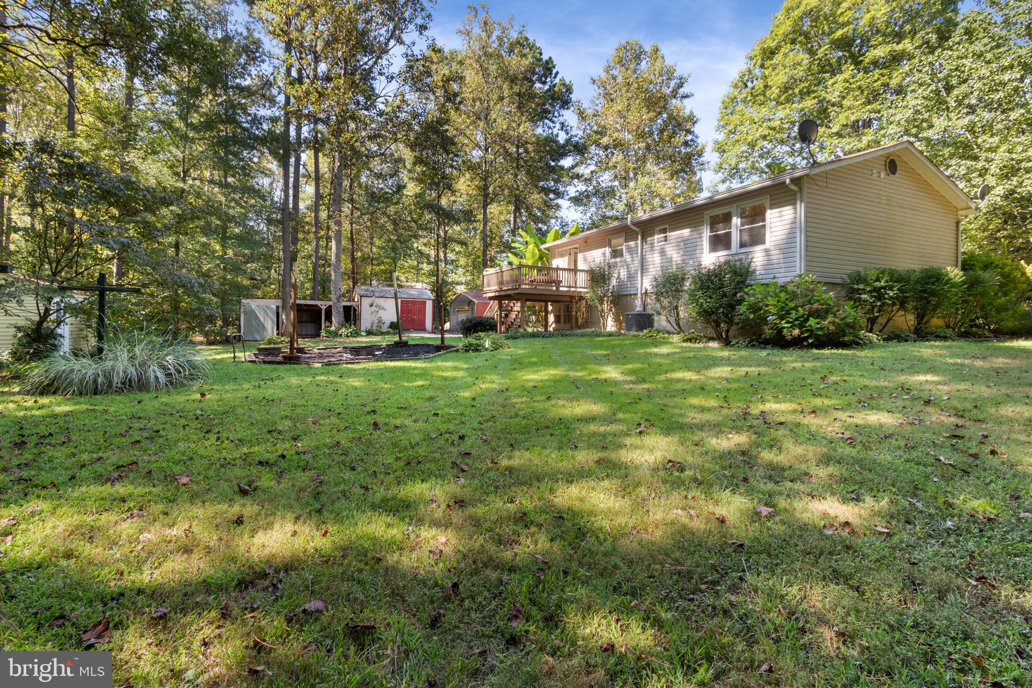 6035 Towles Mill Road Partlow, VA 22534 - Photo 47 of 66 a view of a trees in front of a house
