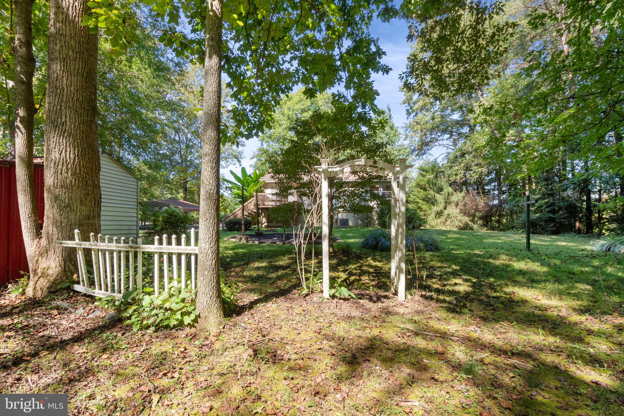 6035 Towles Mill Road Partlow, VA 22534 - Photo 52 of 66 a view of a yard with plants and large trees