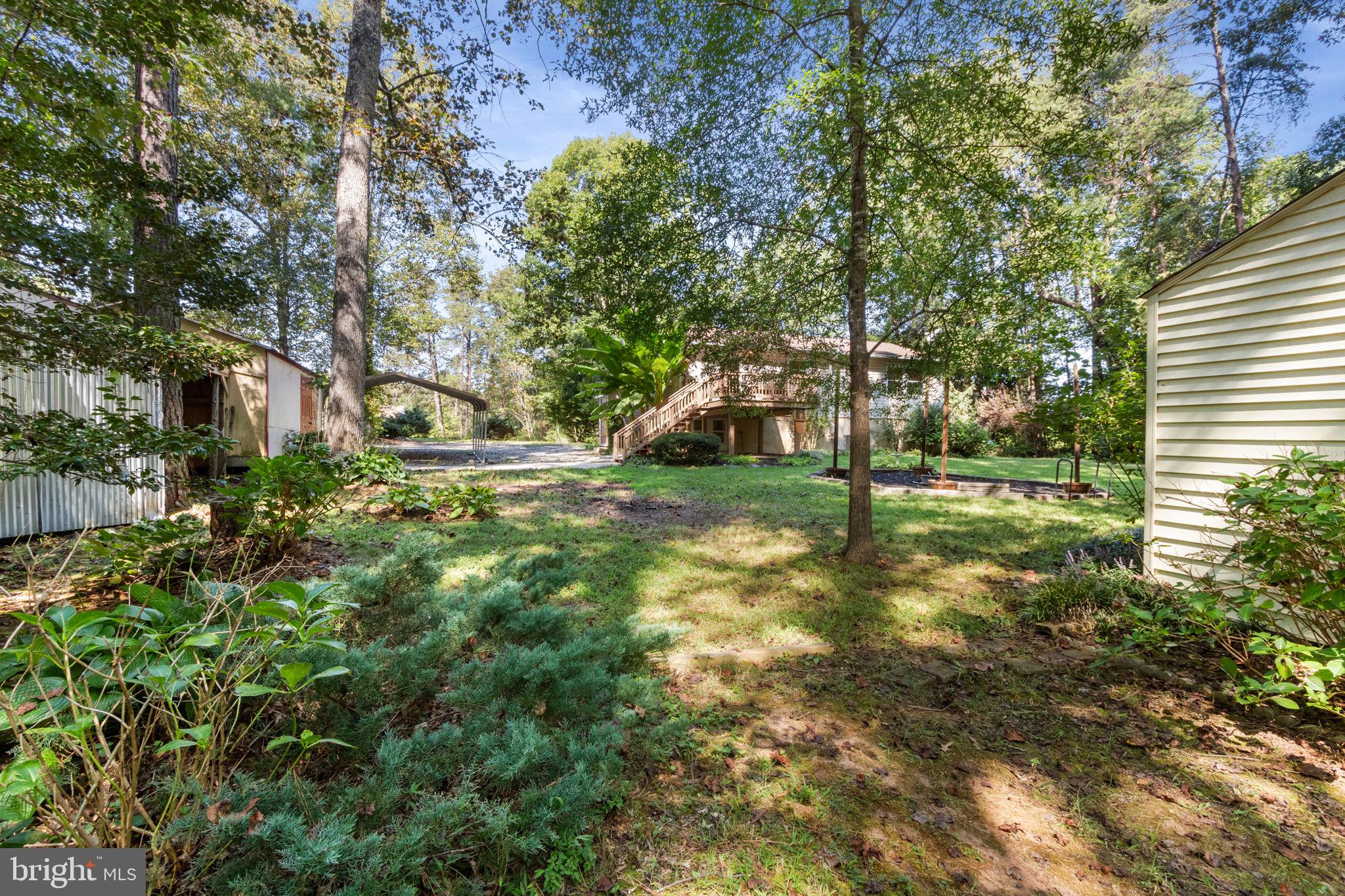 6035 Towles Mill Road Partlow, VA 22534 - Photo 54 of 66 a view of outdoor space with deck and tree