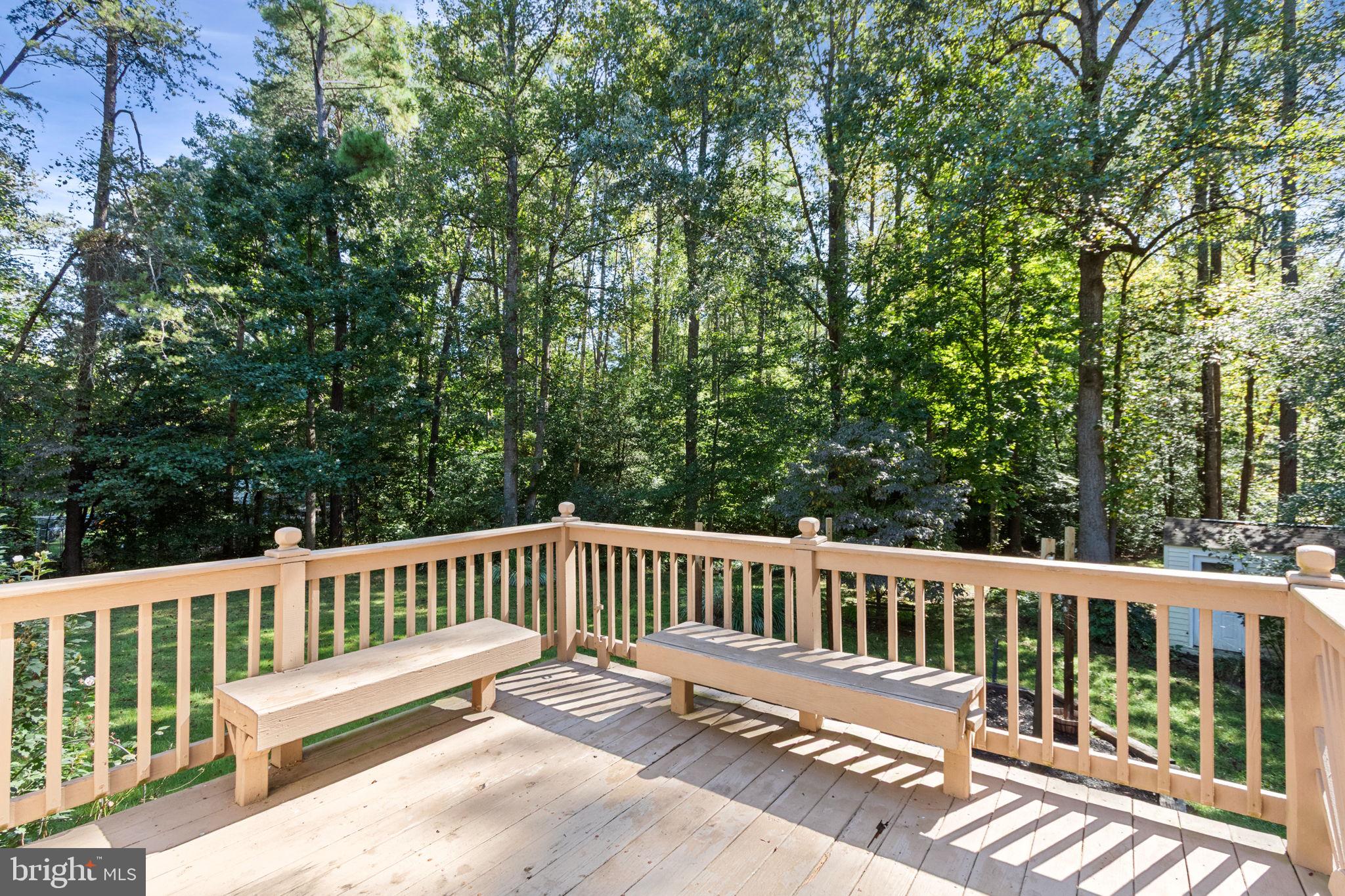 6035 Towles Mill Road Partlow, VA 22534 - Photo 59 of 66 a view of a wooden bench and trees in the back