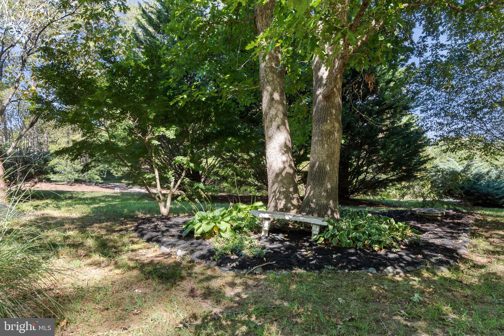 6035 Towles Mill Road Partlow, VA 22534 - Photo 9 of 66 a view of a garden with plants and large trees
