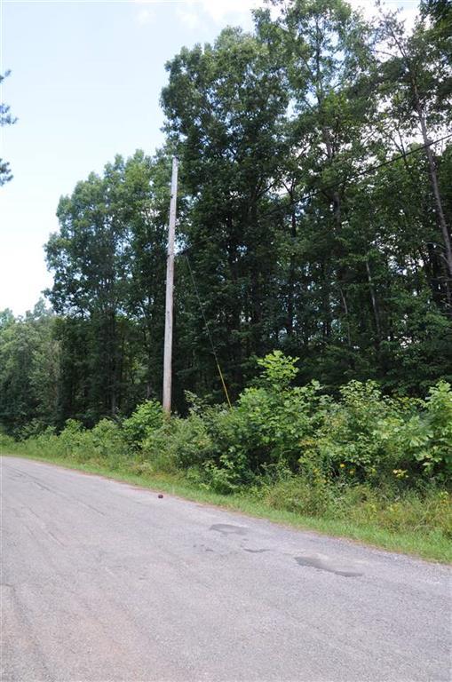 Lot 3 Bluff View Road Dayton, TN 37321 - Photo 1 of 1 1