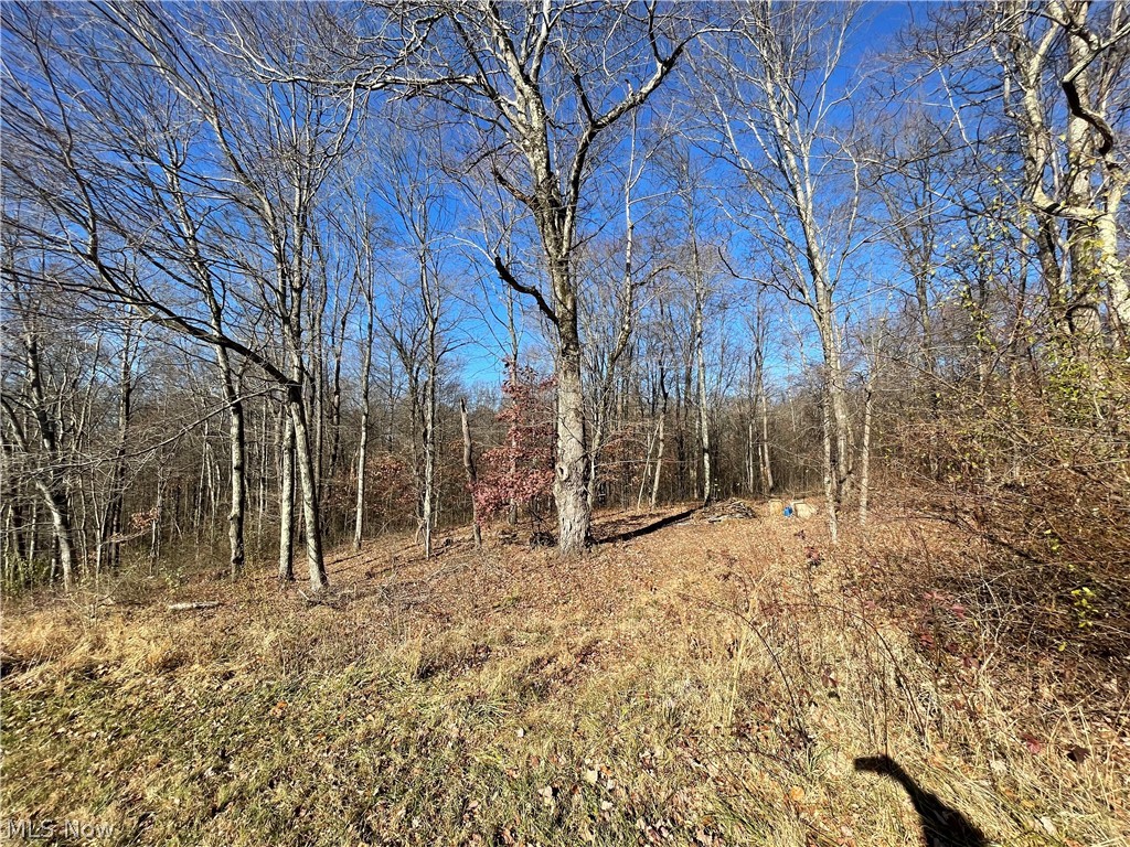 45709 Collins Road Caldwell, OH 43724 - Photo 14 of 16 Gallery Image 14