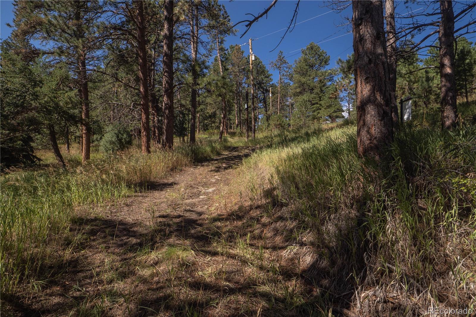 5925 Herzman Drive Evergreen, CO 80439 - Photo 13 of 34