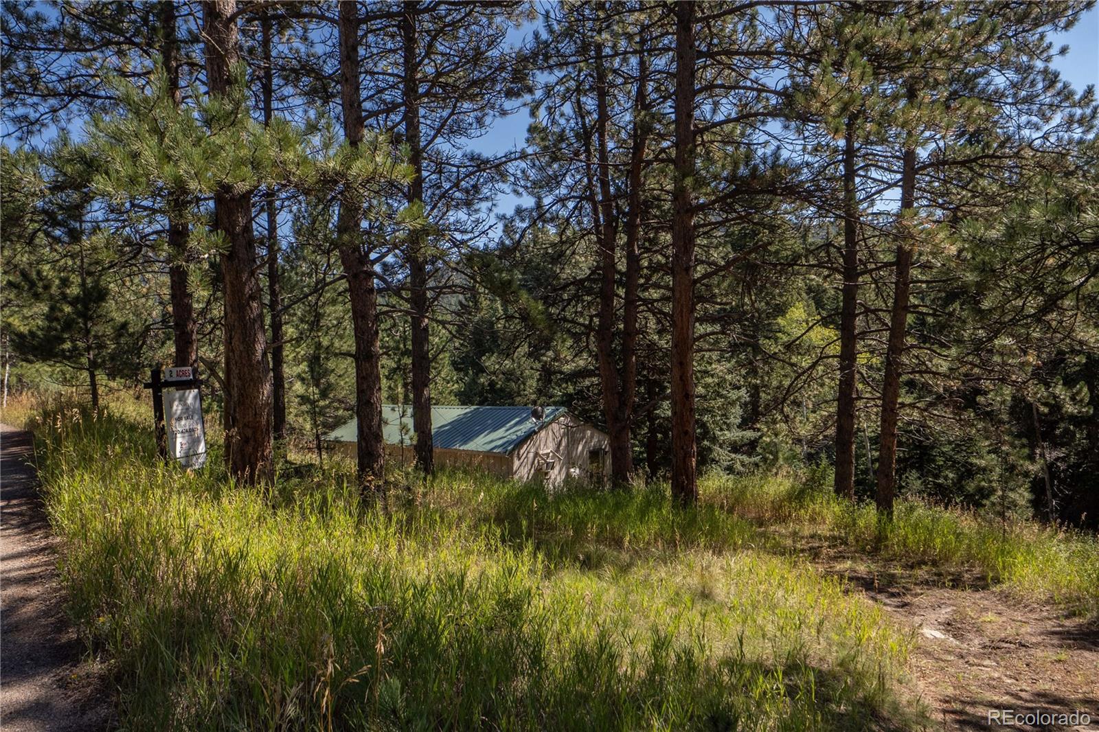 5925 Herzman Drive Evergreen, CO 80439 - Photo 19 of 34