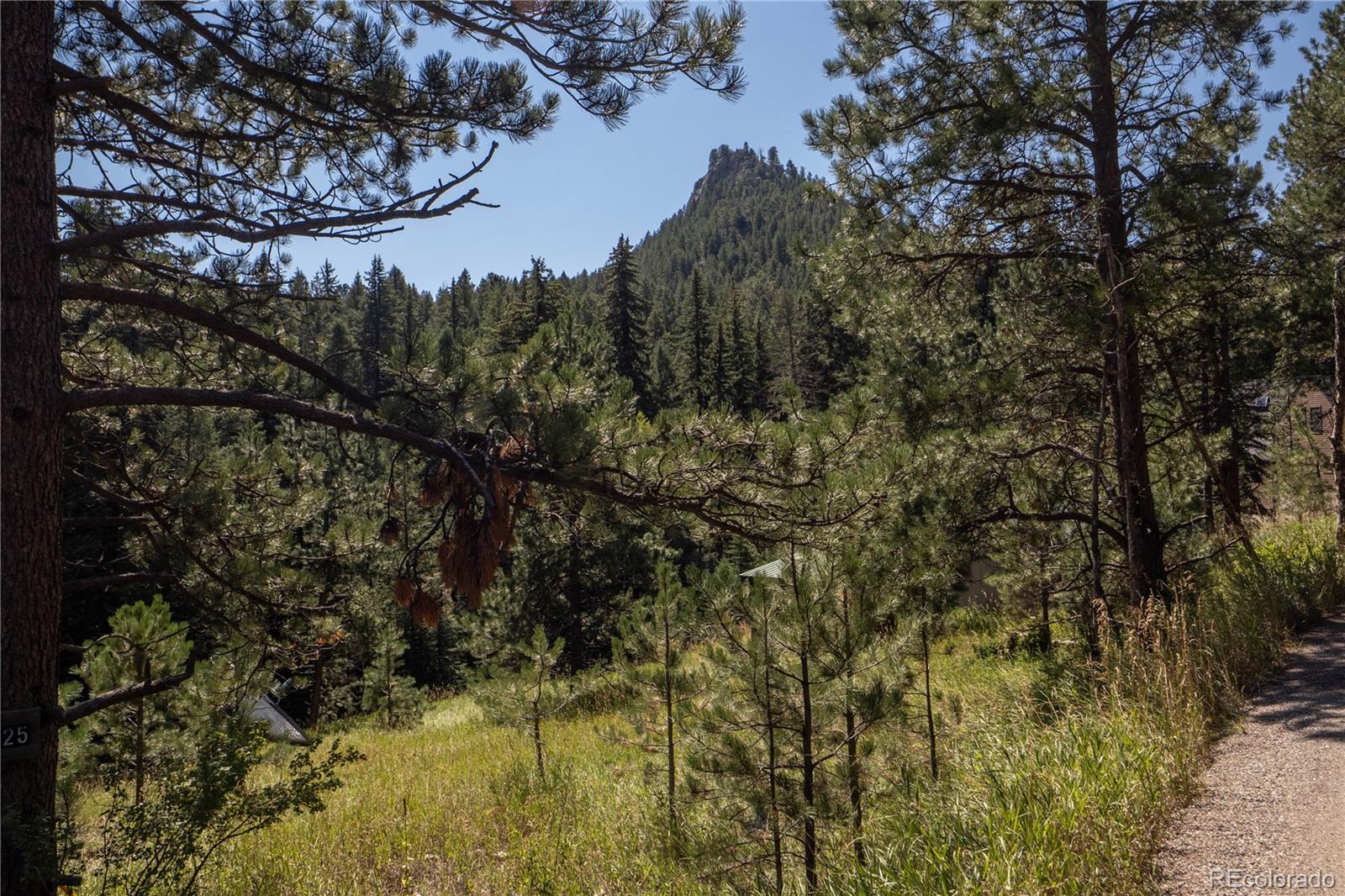 5925 Herzman Drive Evergreen, CO 80439 - Photo 10 of 34