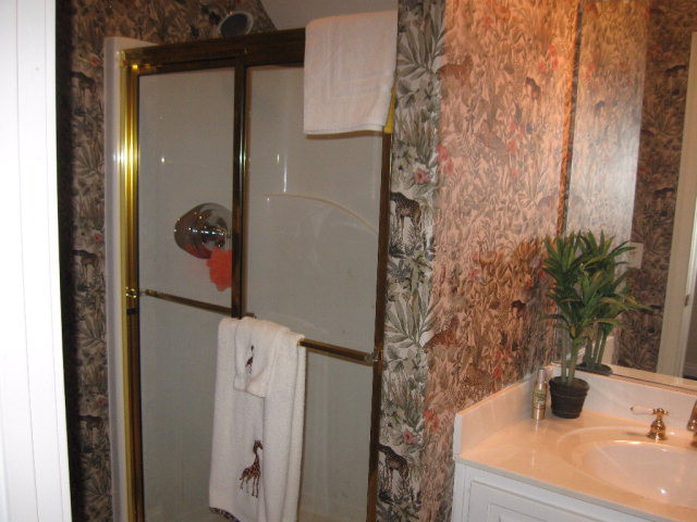 118 Holley Ridge Road Aiken, SC 29803 - Photo 16 of 22 Gallery Image 16
