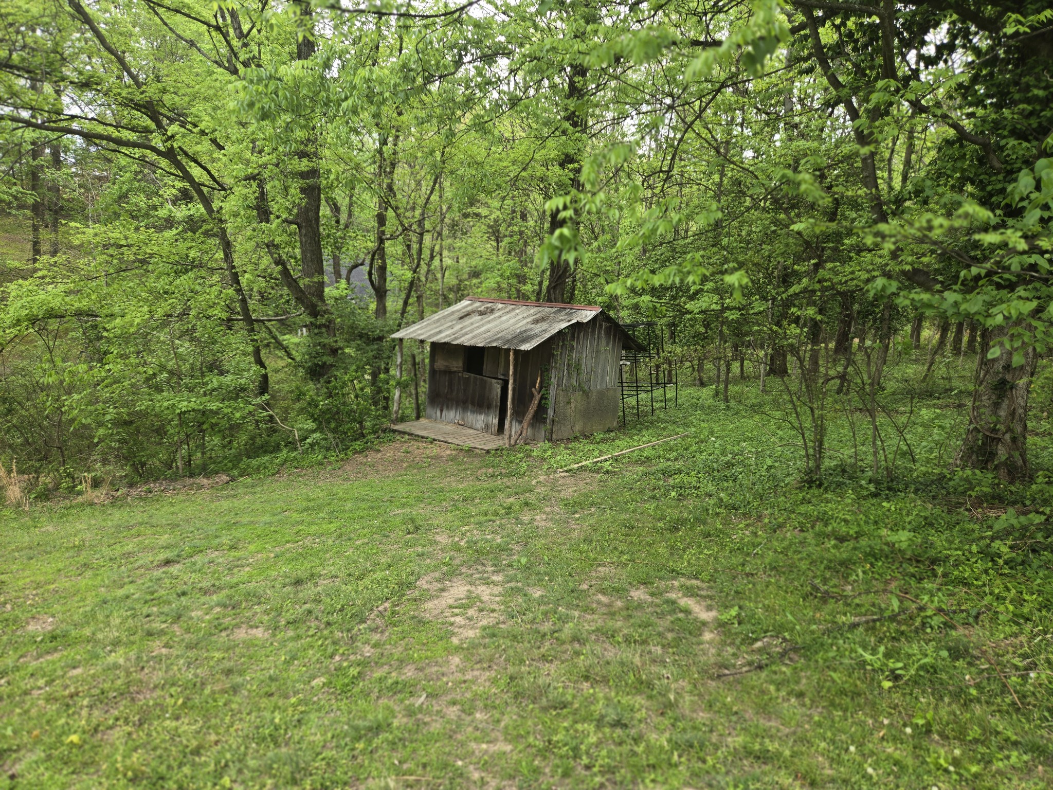 2034 Lake Road Greenbrier, TN 37073 - Photo 11 of 13