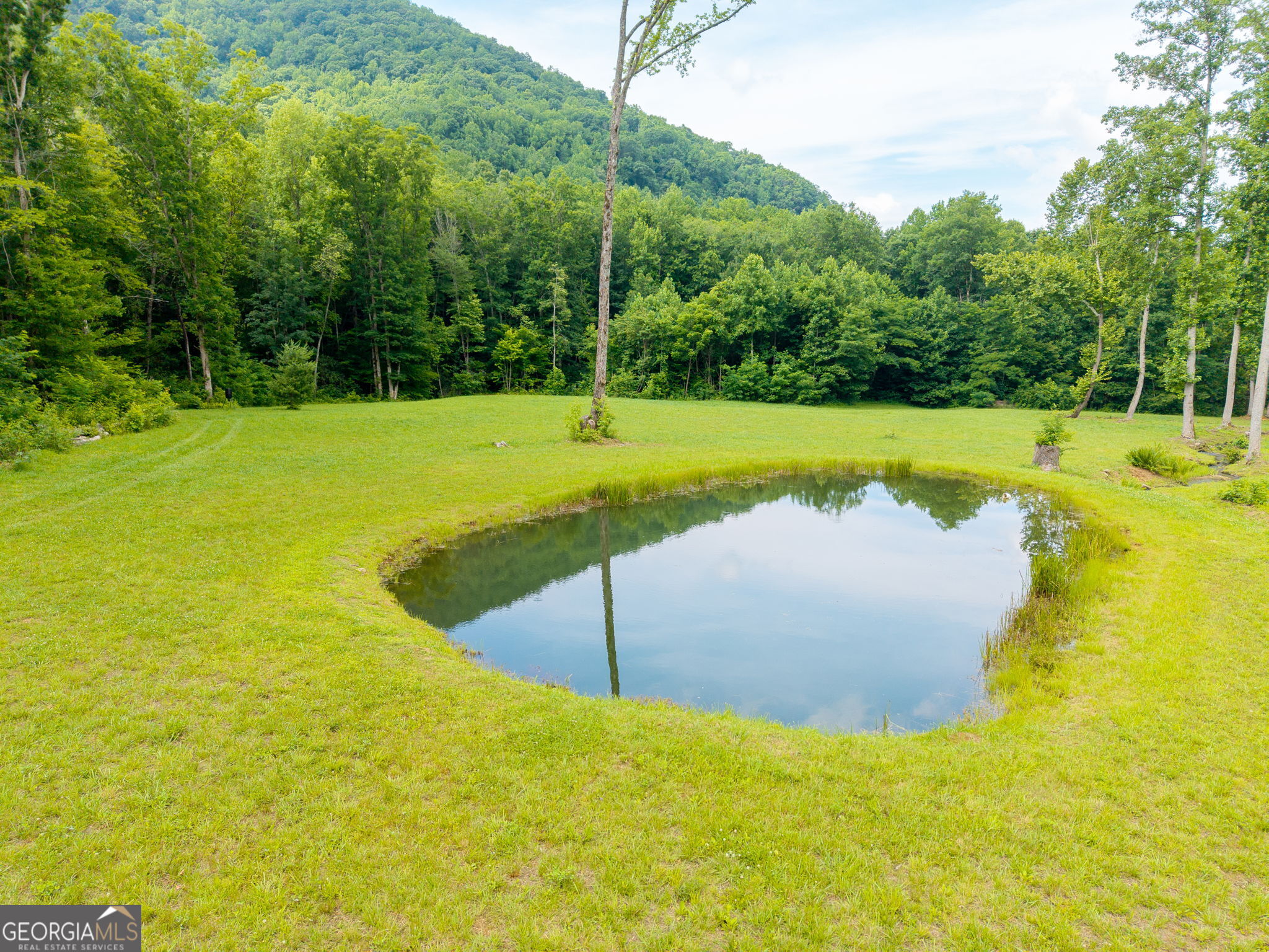 1449 Muskrat Creek Road Hayesville, NC 28904 - Photo 9 of 67