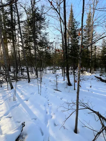 $14,900 | 88 County Road 88, Cohasset, MN 55721