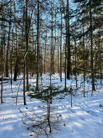 $14,900 | 88 County Road 88, Cohasset, MN 55721