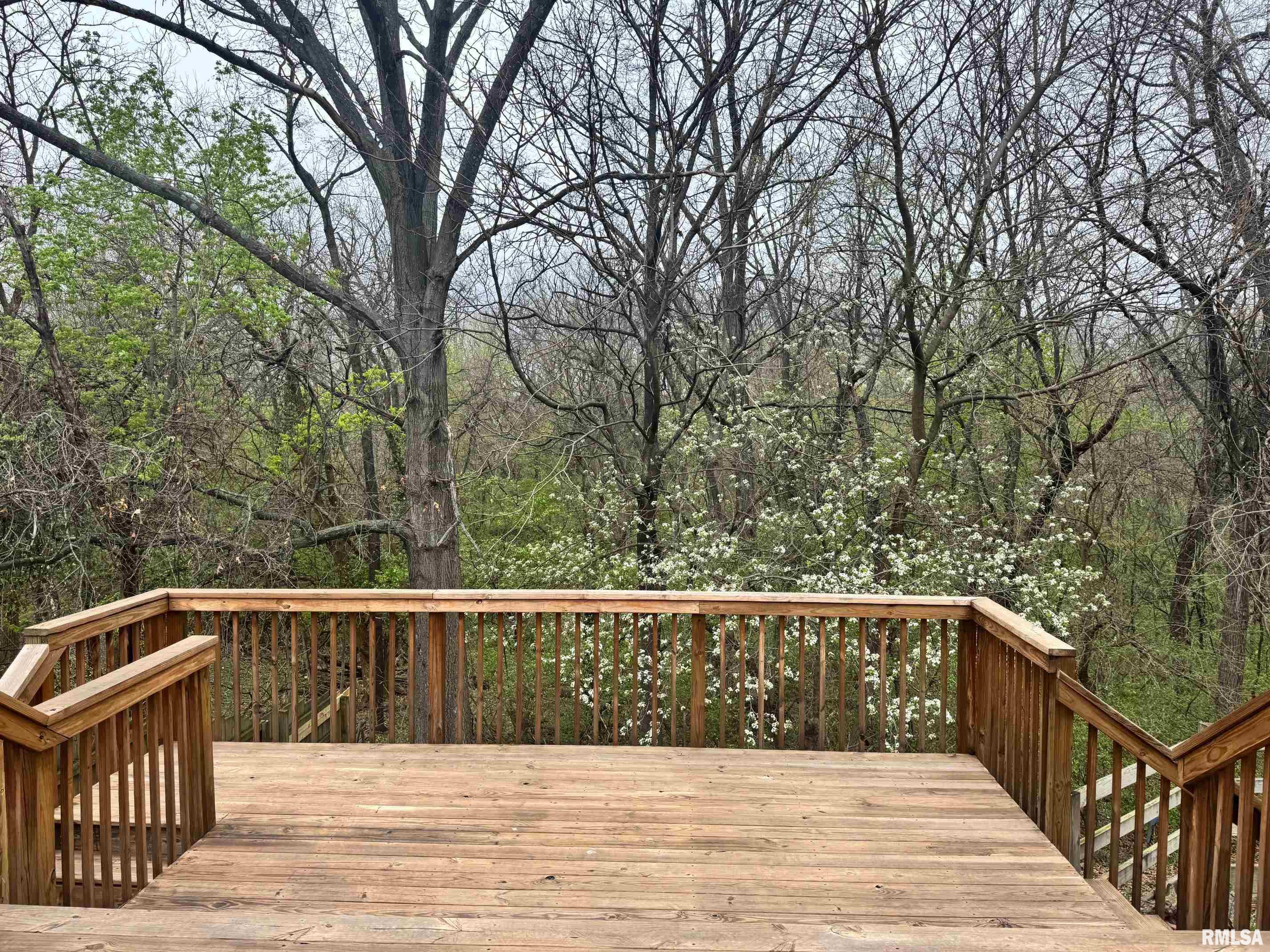 809 Diane Court Springfield, IL 62702 - Photo 31 of 32