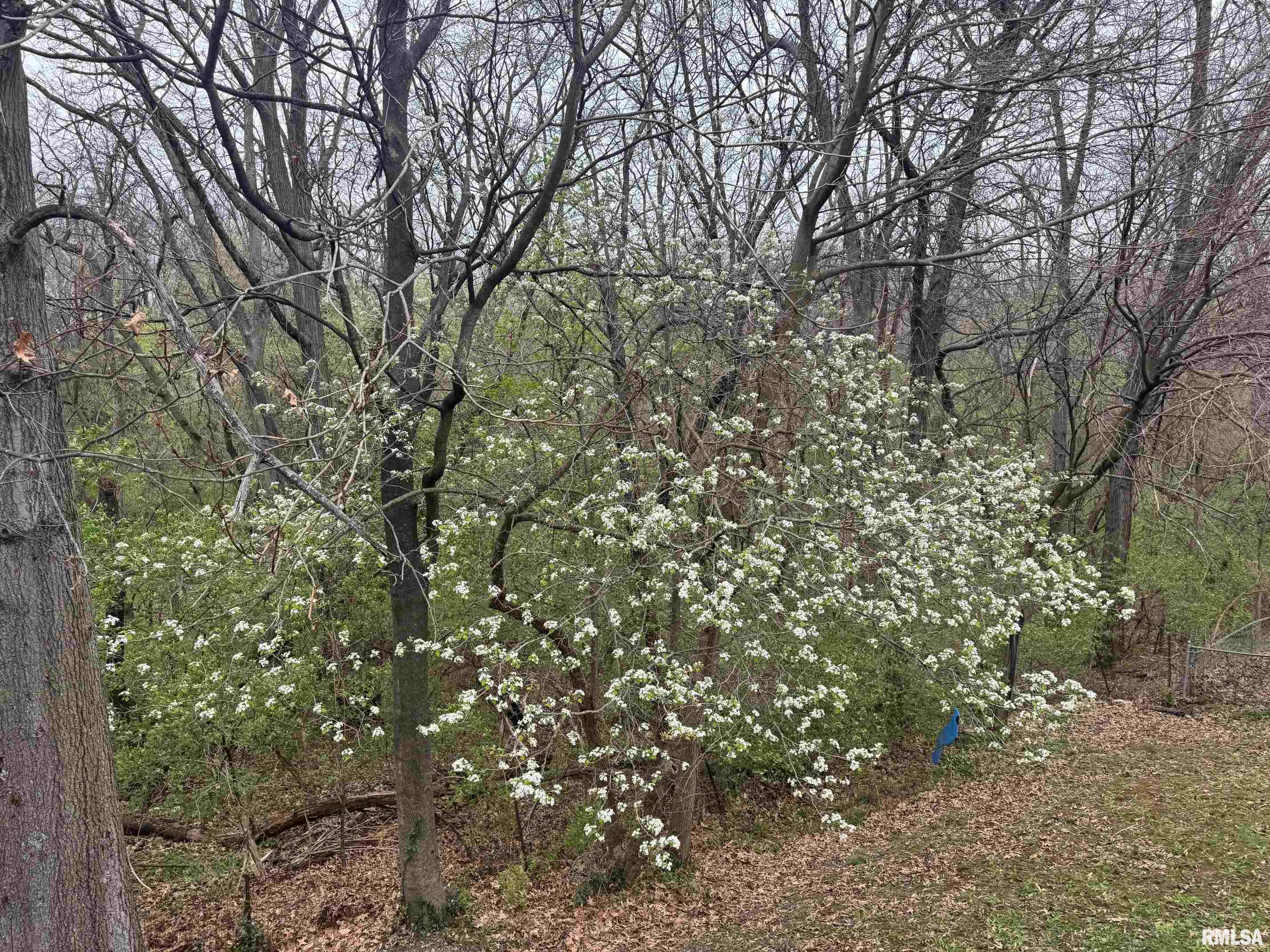 809 Diane Court Springfield, IL 62702 - Photo 32 of 32