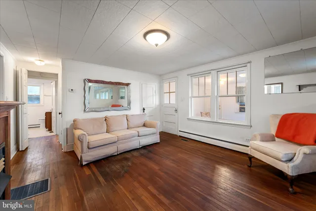 a view of a yard with plants and trees