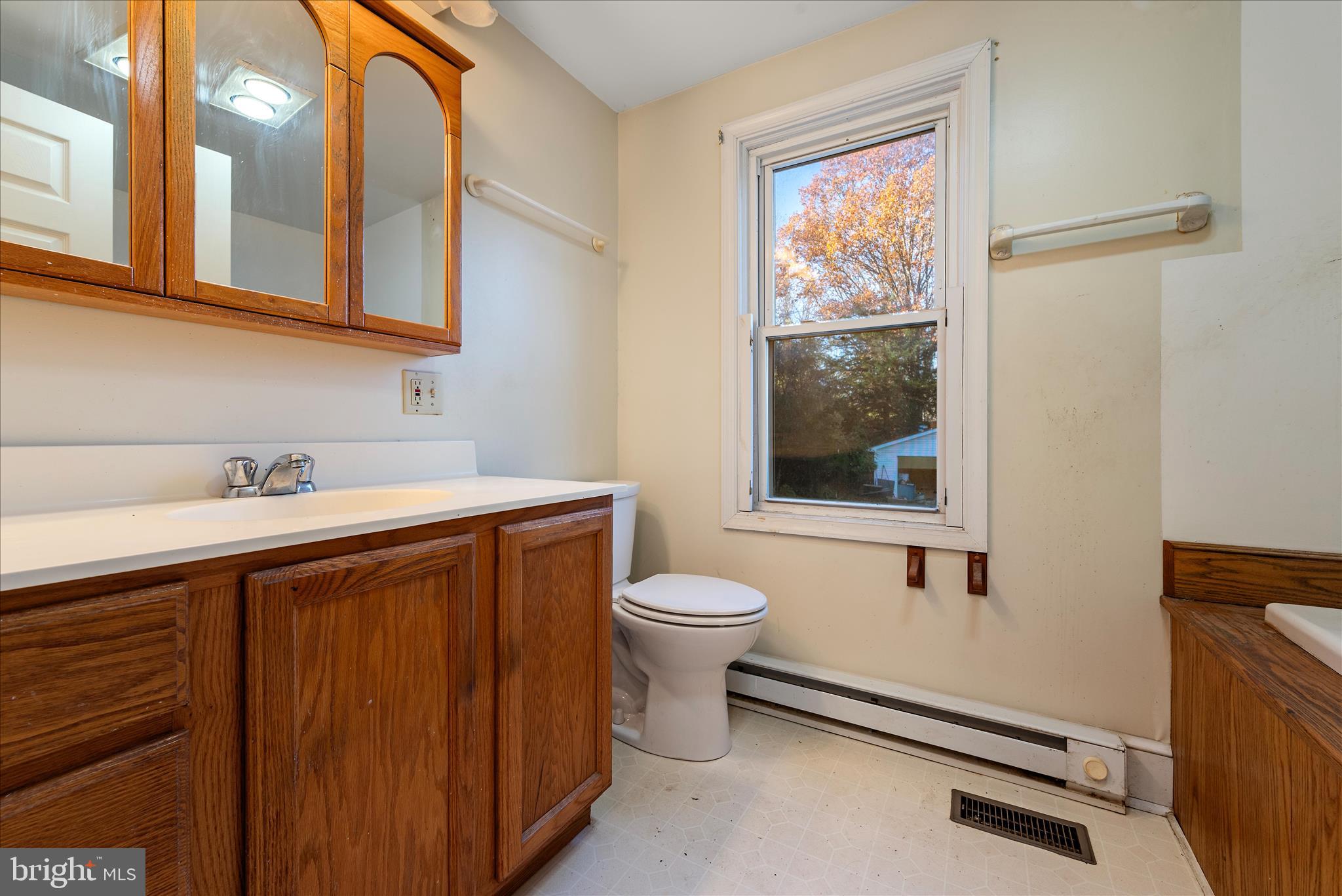 1621 Locke's Mill Road Berryville, VA 22611 - Photo 24 of 54 a bathroom with a sink a toilet and shower