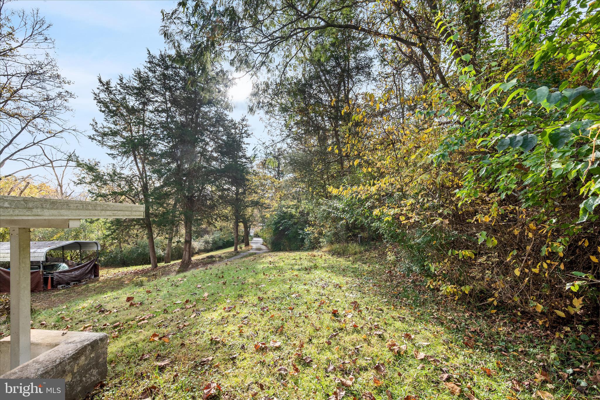 1621 Locke's Mill Road Berryville, VA 22611 - Photo 48 of 54 a view of a yard with plants and trees