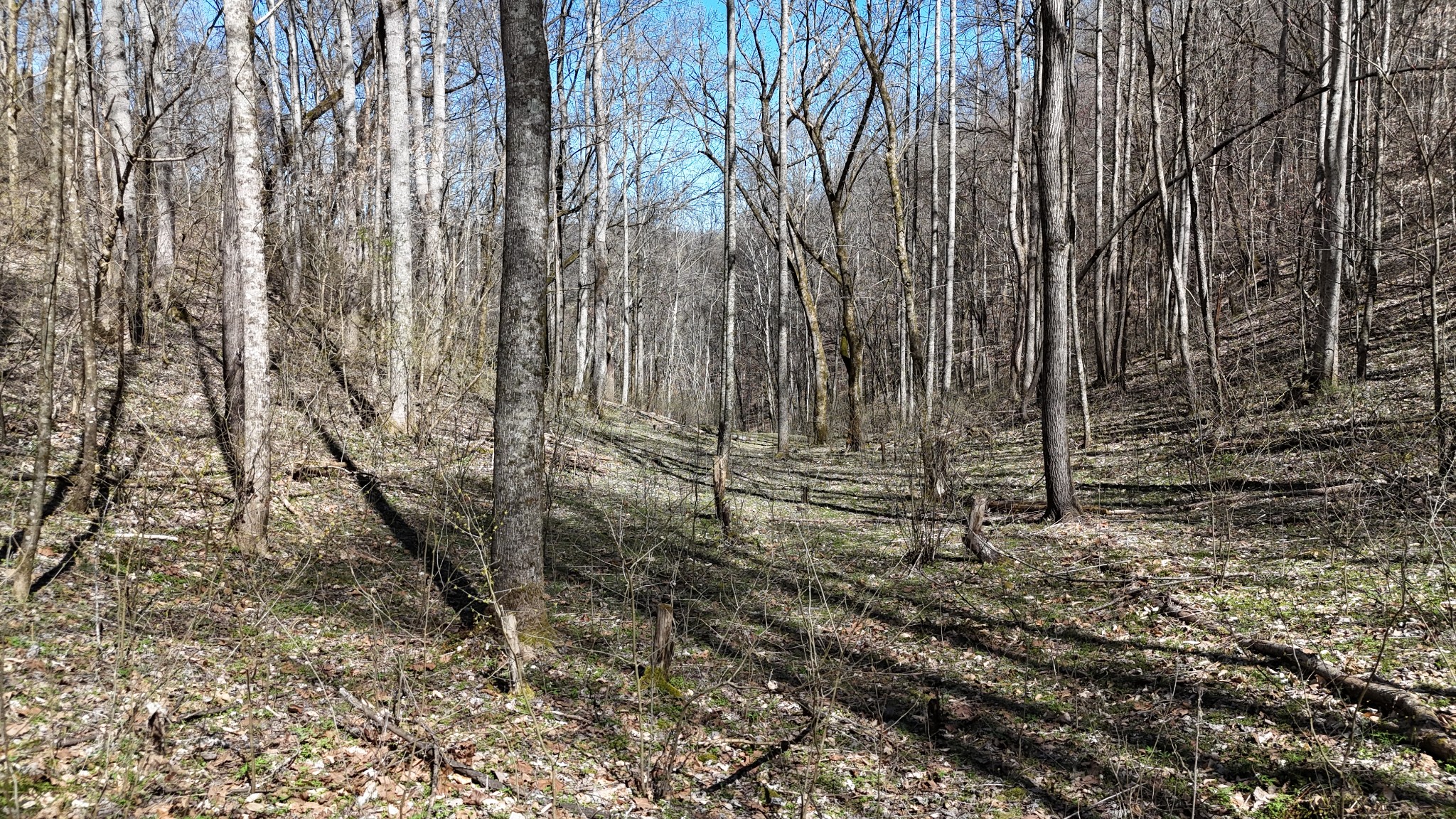 0 Anderson Carr Road Baxter, TN 38544 - Photo 17 of 63 a view of wooden fence