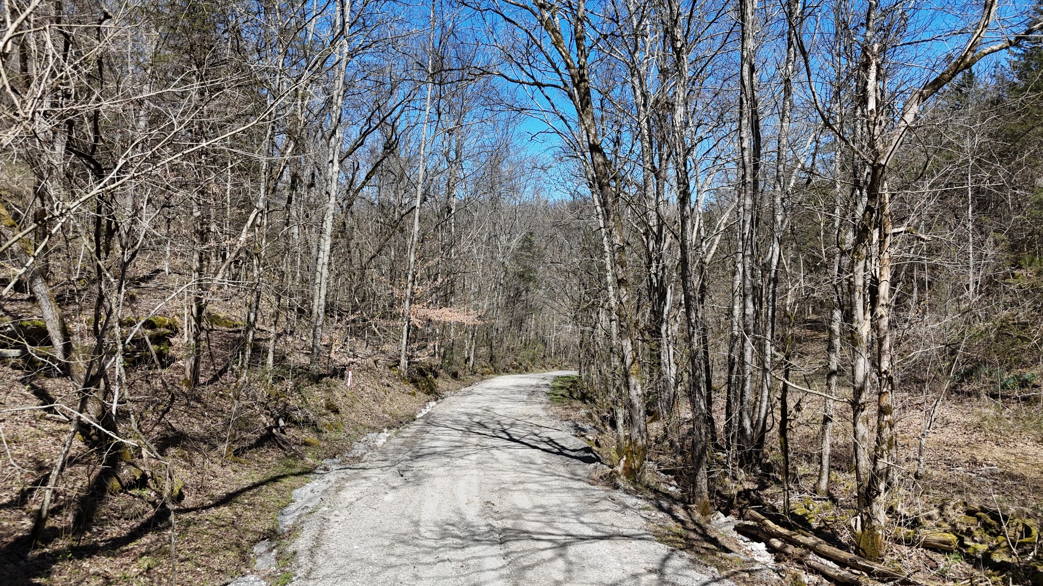 0 Anderson Carr Road Baxter, TN 38544 - Photo 29 of 63