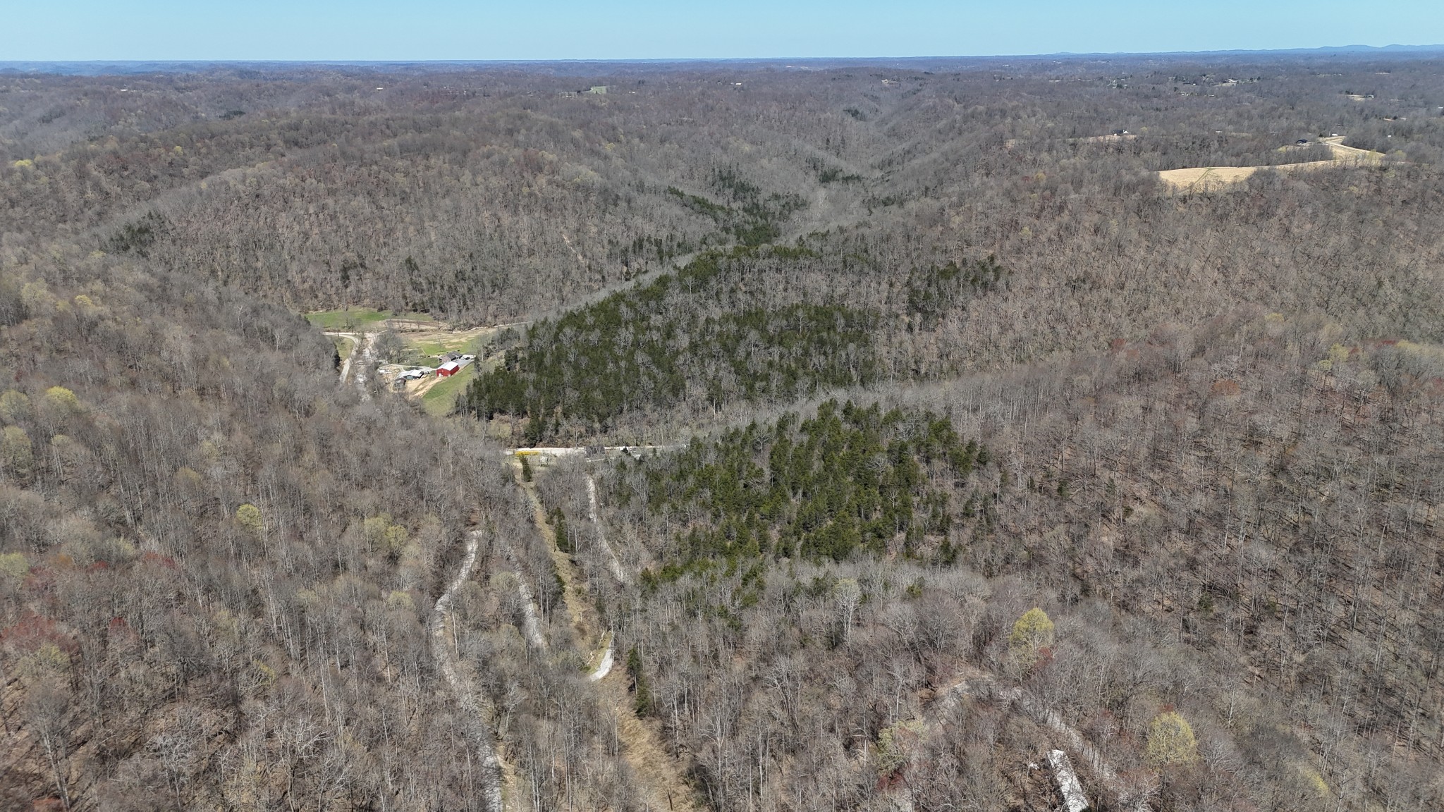 0 Anderson Carr Road Baxter, TN 38544 - Photo 3 of 63 a view of a dry yard with trees