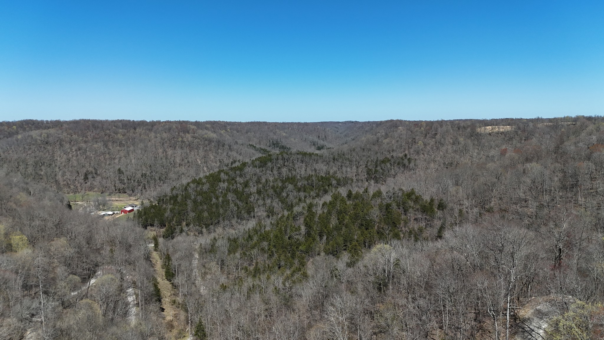 0 Anderson Carr Road Baxter, TN 38544 - Photo 5 of 63 a view of a dry yard with green space