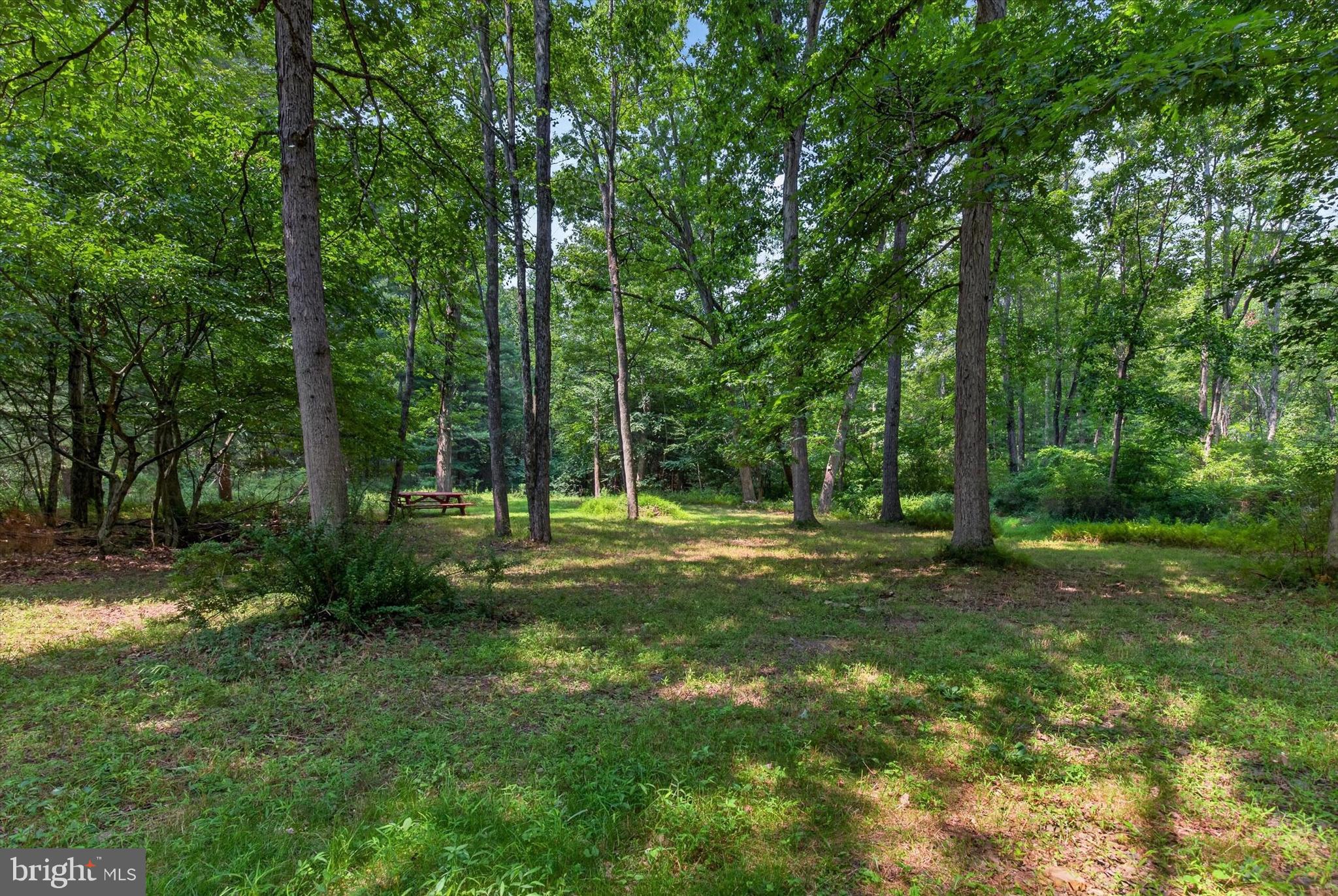 4144 Back Road Halifax, PA 17032 - Photo 10 of 31 Gallery Image 10