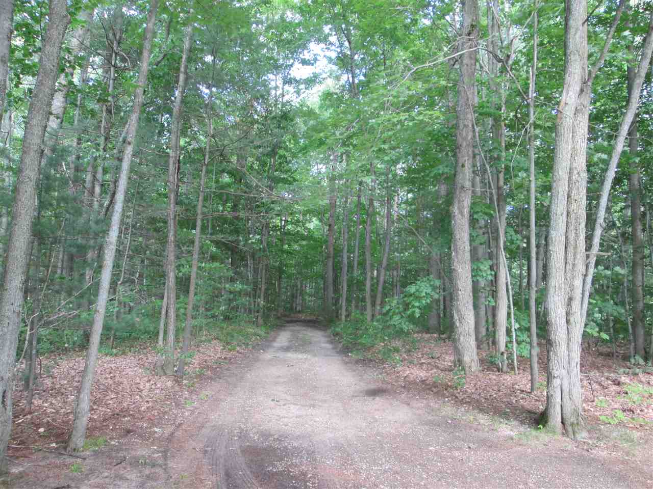 6575 Blue Lake Road Kalkaska, MI 49646 - Photo 27 of 27 1803073-26.JPG