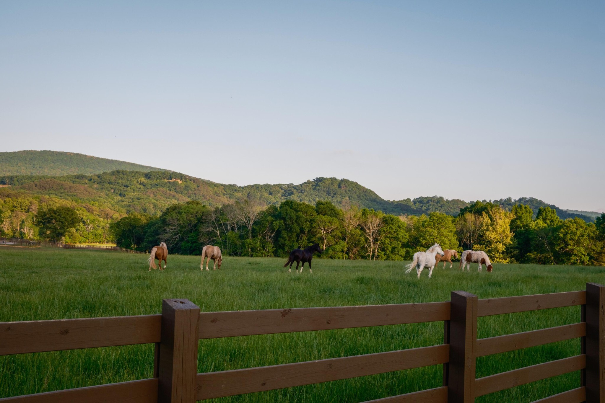 6971 West Cove Road Chickamauga, GA 30707 - Photo 18 of 100