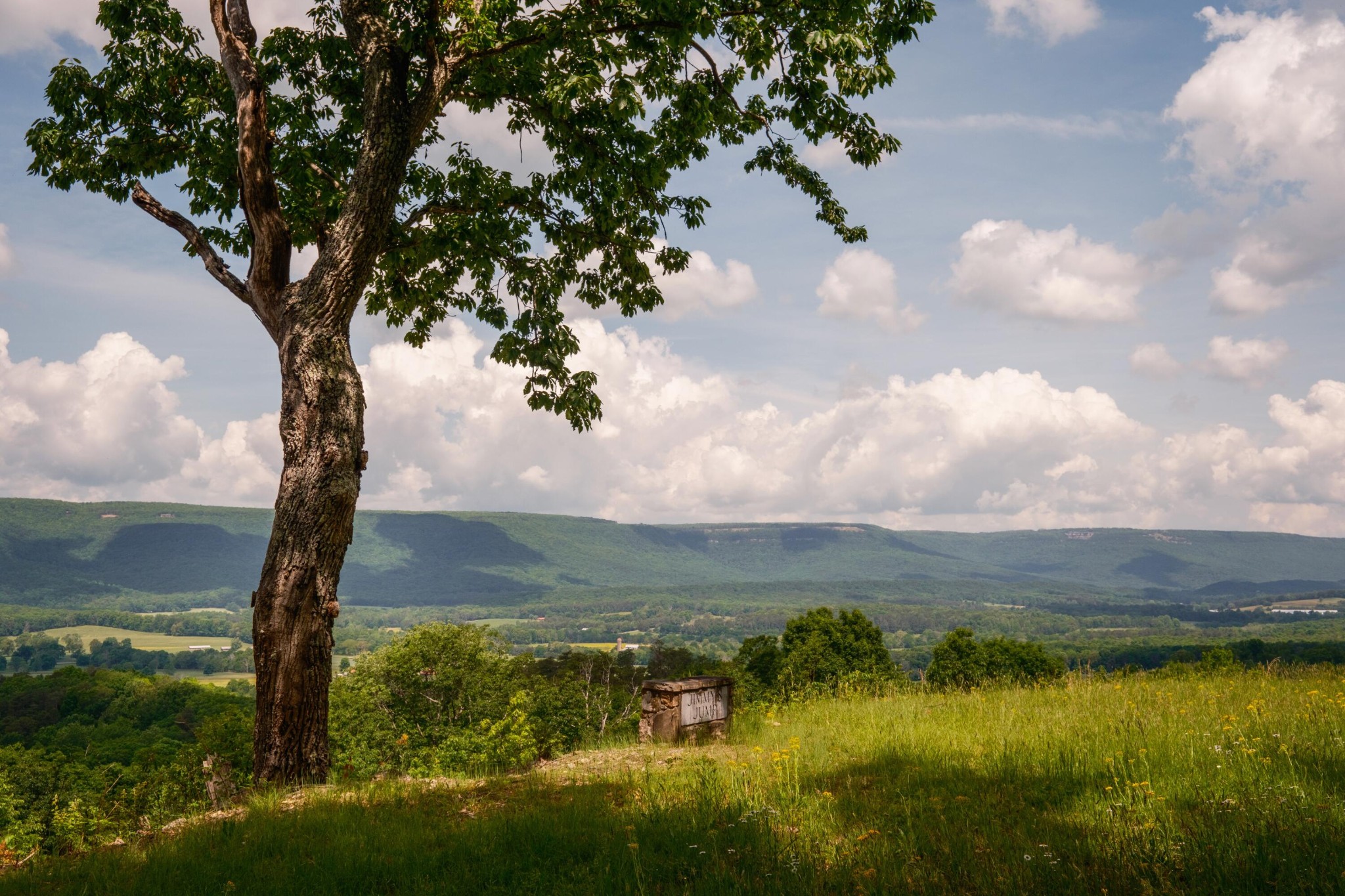 6971 West Cove Road Chickamauga, GA 30707 - Photo 7 of 100 a view of lake with mountain in the back