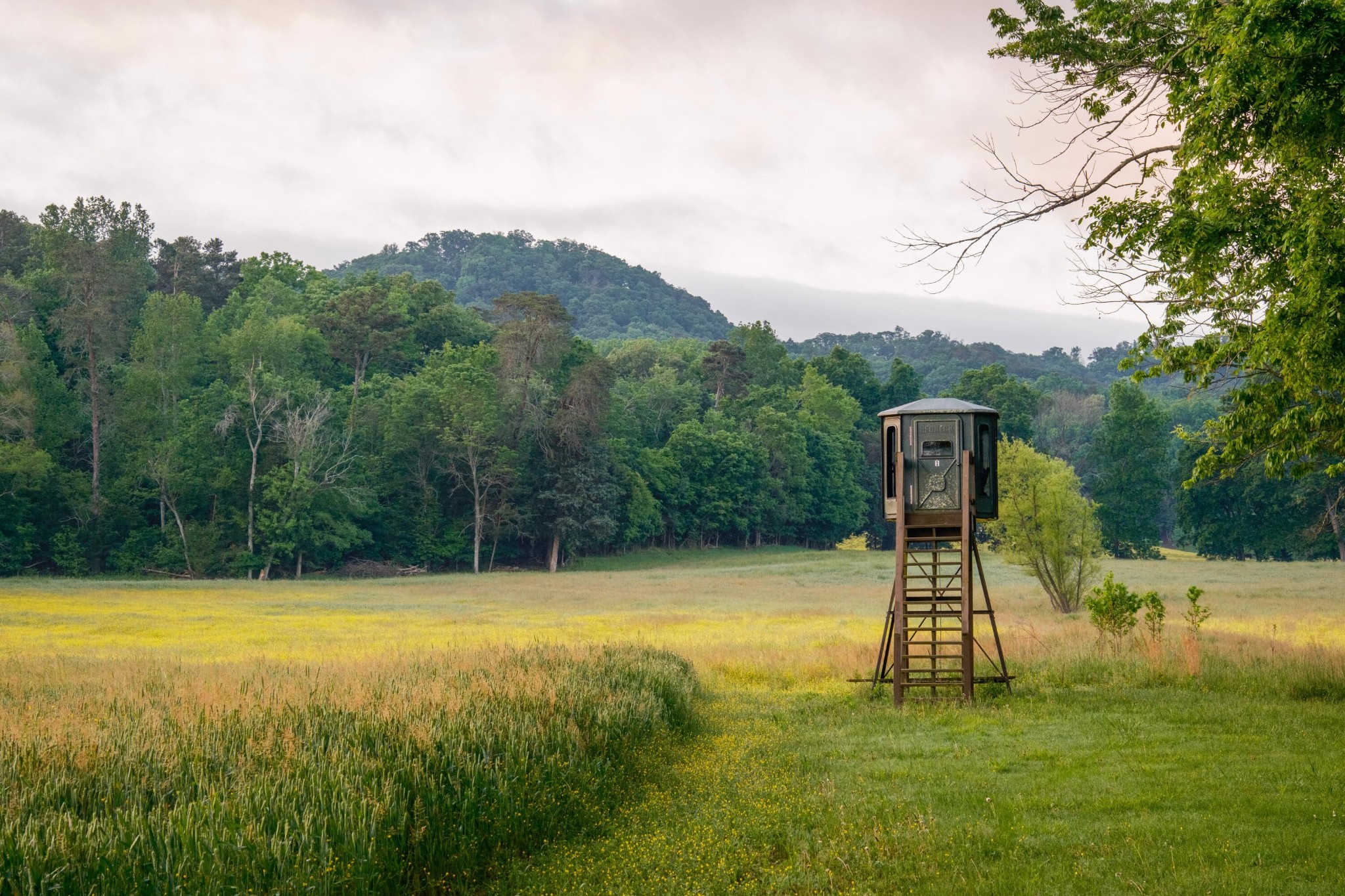 6971 West Cove Road Chickamauga, GA 30707 - Photo 8 of 100 a view of a basketball court