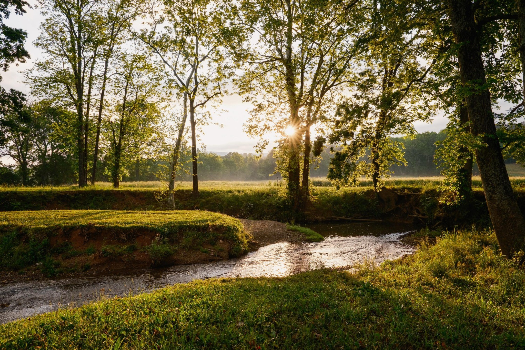 6971 West Cove Road Chickamauga, GA 30707 - Photo 9 of 100 a view of backyard with green space