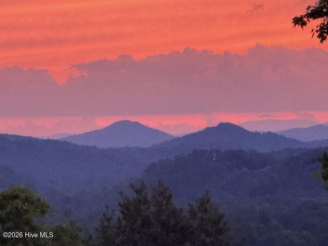 Lot 5 Downings Creek Road Hayesville, NC 28904 - Photo 1 of 11