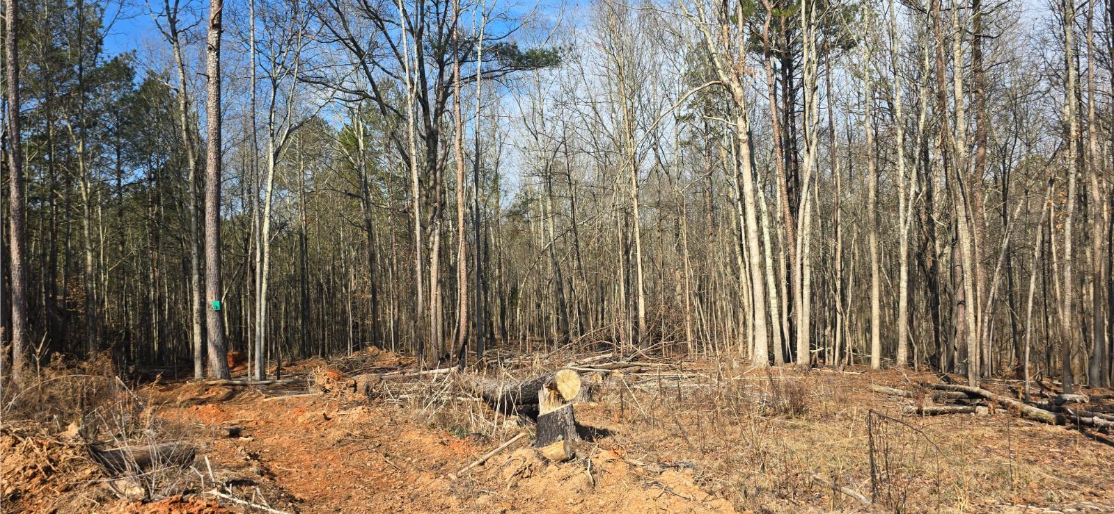 213 Lavista Road Jefferson, GA 30549 - Photo 17 of 54 20260210_111030