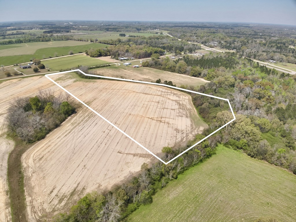 13-acres Dillard Road Pansey, AL 36370 - Photo 5 of 8