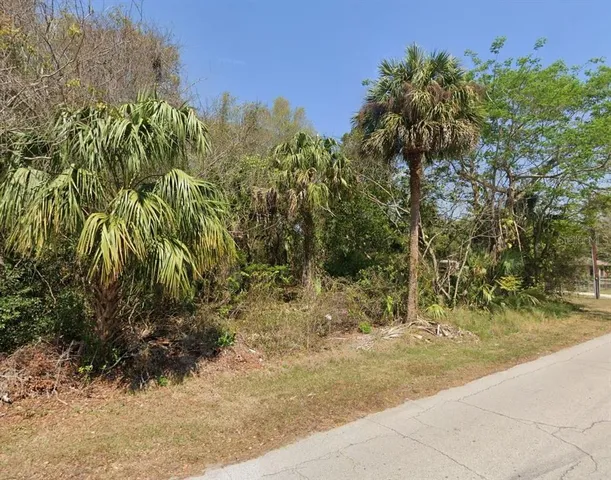a view of a yard with plants and trees