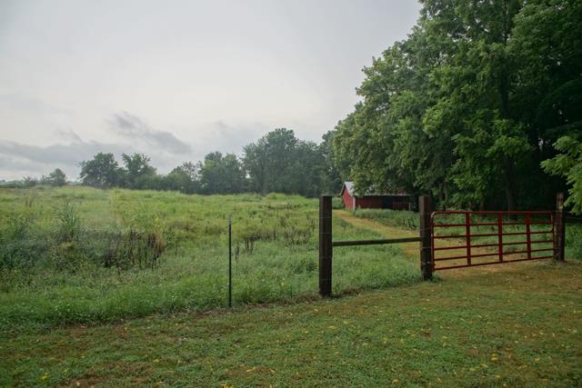 5124 Pineywoods Road Adams, TN 37010 - Photo 12 of 20 HUGE pasture with Barn.