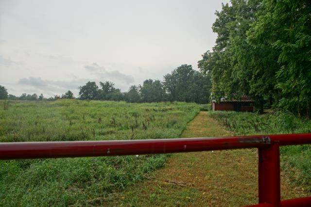 5124 Pineywoods Road Adams, TN 37010 - Photo 13 of 20 Fenced in area is approximately 3 ares.