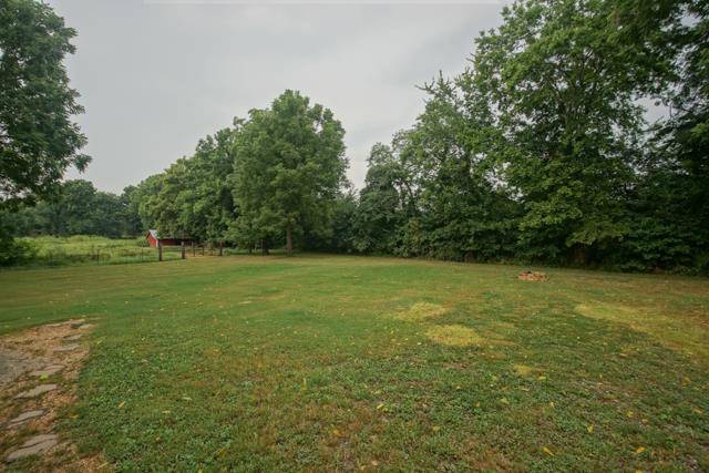 5124 Pineywoods Road Adams, TN 37010 - Photo 15 of 20 Great back yard with mature tree line and no neighbors to bother you!