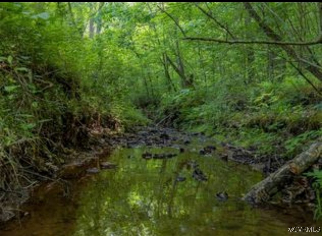 a view of a yard with a tree