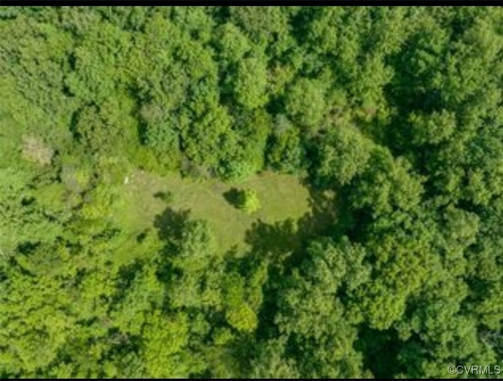1840 Ed Jones Road Scottsville, VA 24590 - Photo 2 of 8 a view of a lush green forest