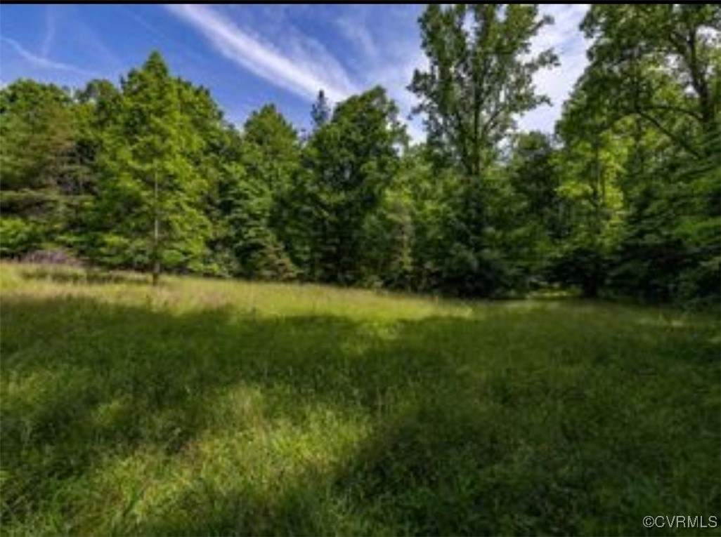 1840 Ed Jones Road Scottsville, VA 24590 - Photo 3 of 8 a view of outdoor space and yard