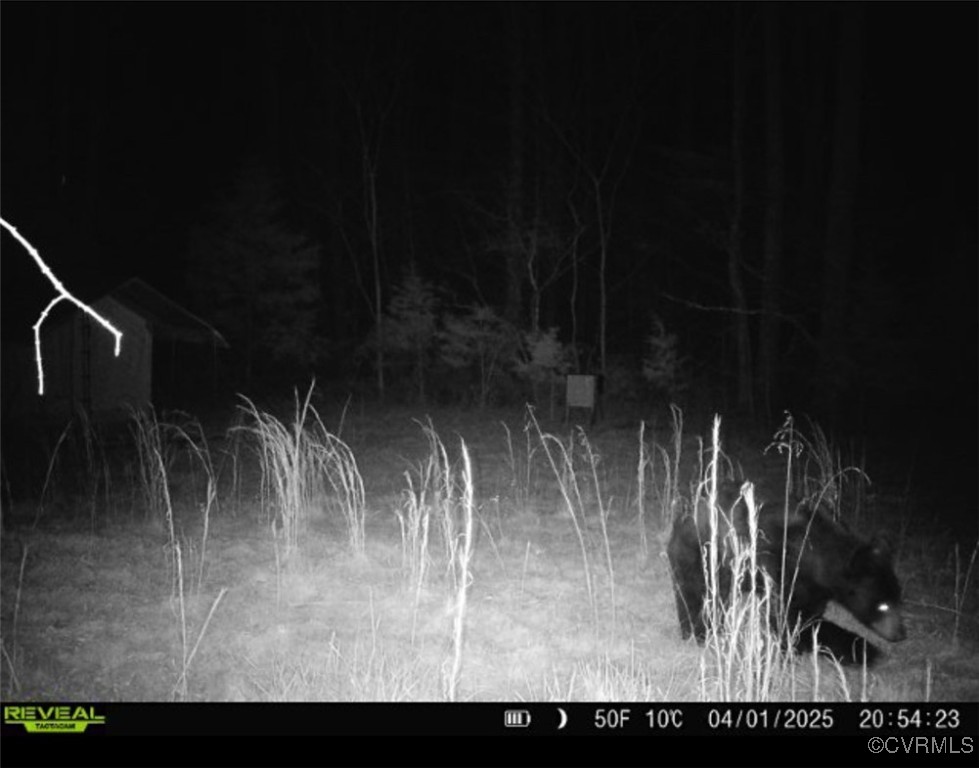1840 Ed Jones Road Scottsville, VA 24590 - Photo 6 of 8 a view of entryway with wooden floor