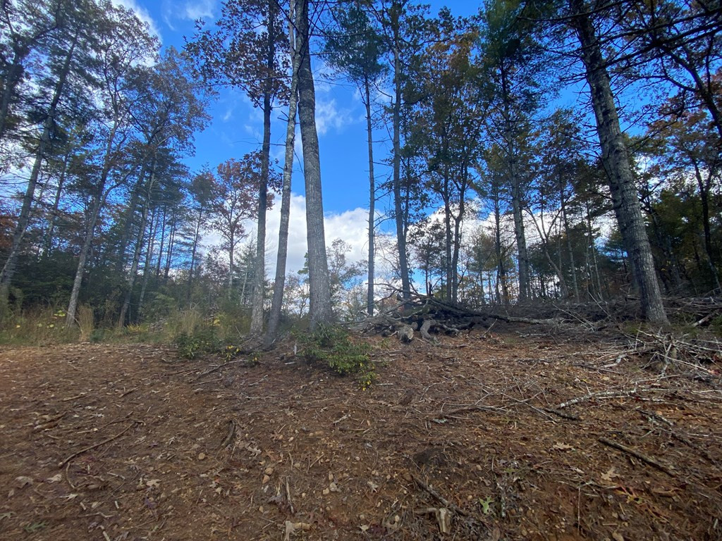 Lot 72 Rainy Farm Road Murphy, NC 28906 - Photo 4 of 17