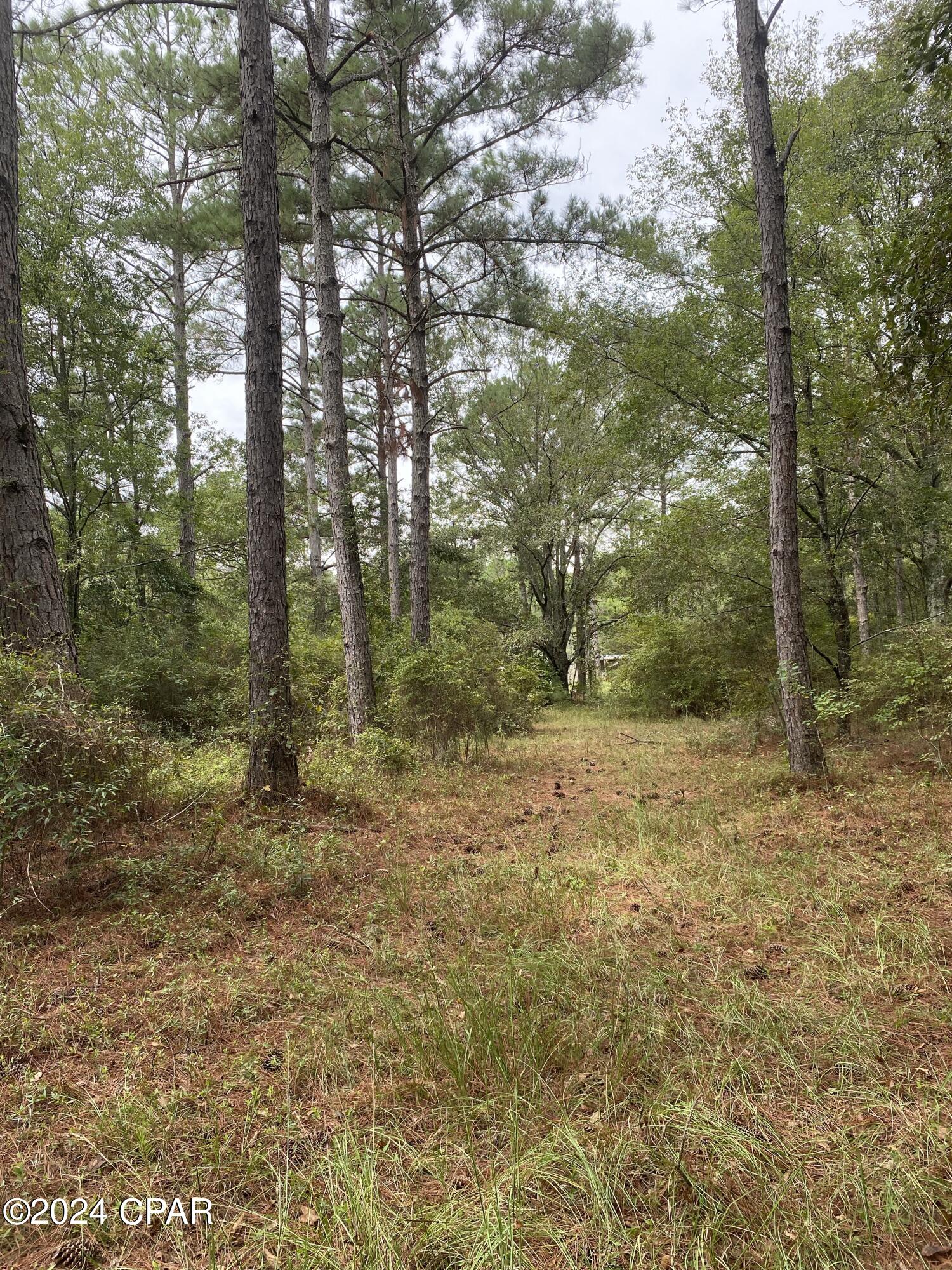 0 Earlston Road Graceville, FL 32440 - Photo 1 of 11 Gallery Image 1