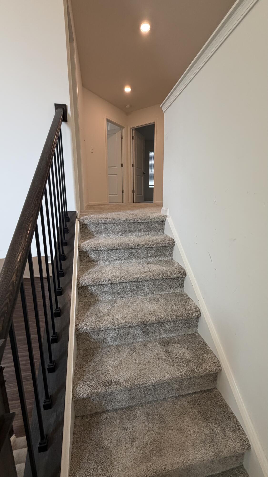 1780 East 110th Lane Crown Point, IN 46307 - Photo 10 of 24 1125x2000