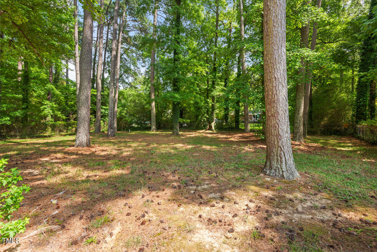 905 Spruce Pine Trail Durham, NC 27705 - Photo 6 of 6 a view of outdoor space with trees