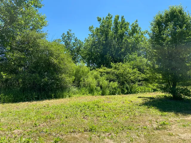 a view of outdoor space and yard