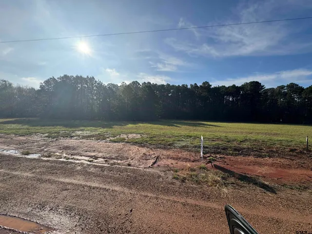 a view of a yard with a lake view