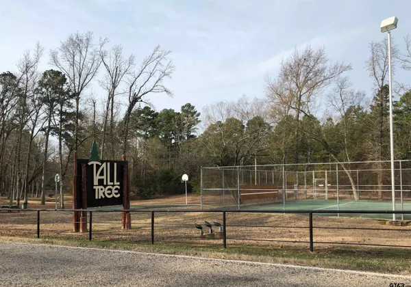 a view of a park