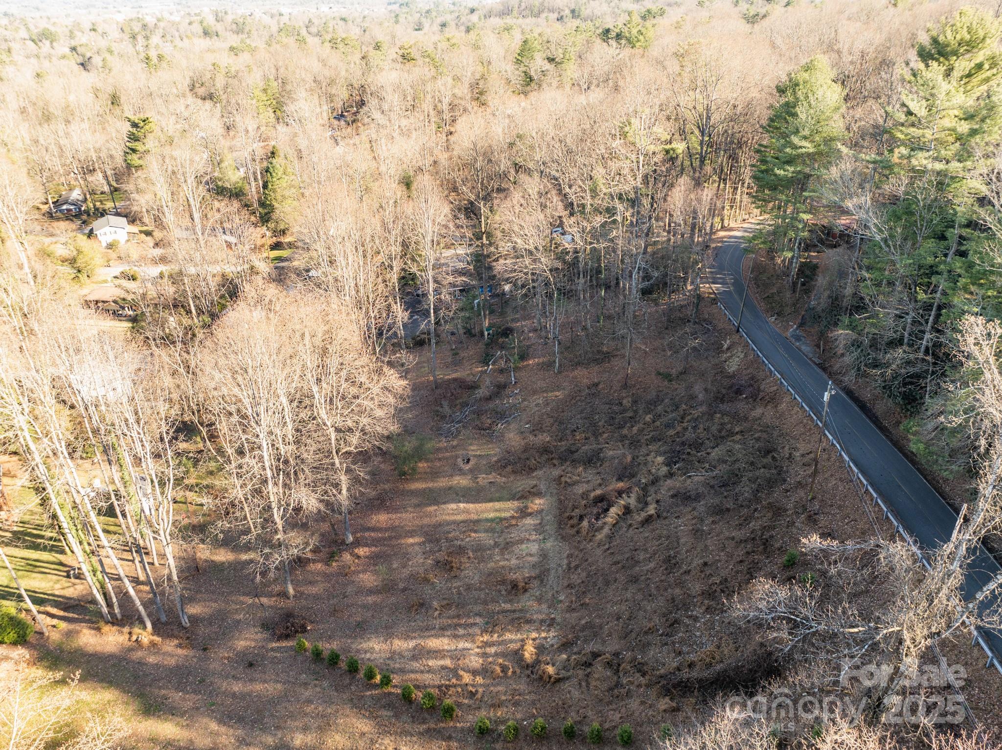 Tbd Davis Mountain Road Hendersonville, NC 28739 - Photo 3 of 10